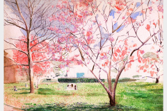 LafeyettePark