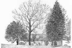 Moorefield