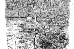 NewRiver