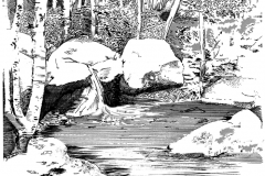 penInk-3LowRes