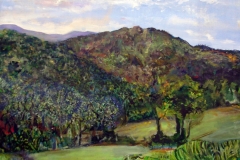 MontgomeryCo