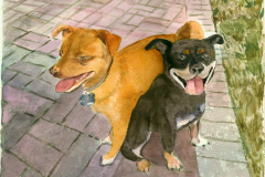 puppies